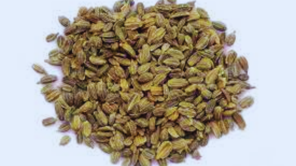 carrots seed