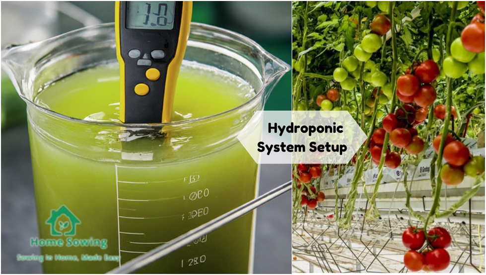 Hydroponic System Setup