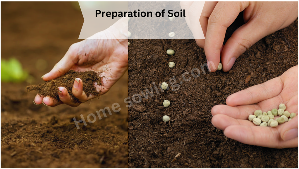 preparation of soil 2