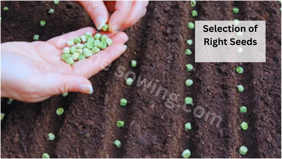 selection of right seed 1