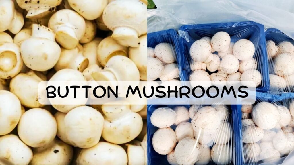 Button Mushrooms h