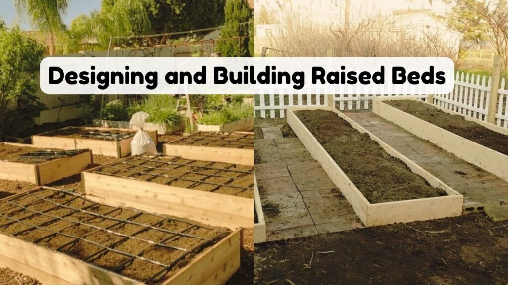 Designing and Building Raised Beds 1