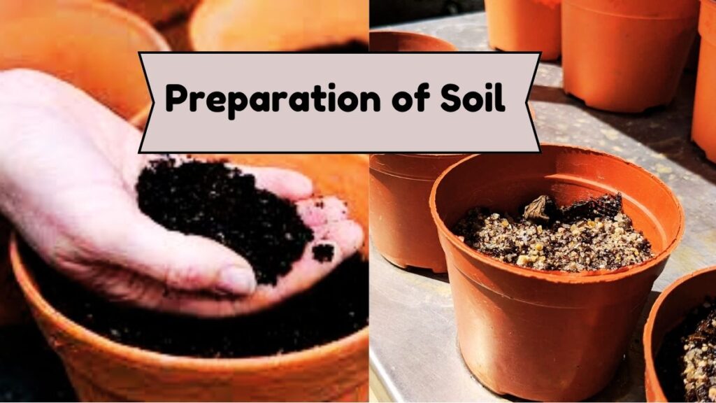 Preparation of Soil