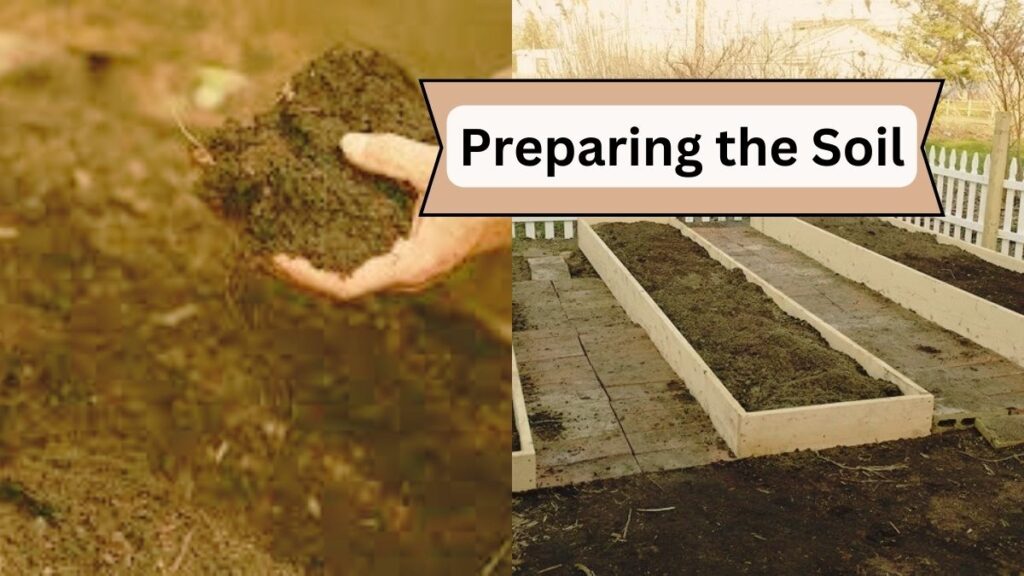 Preparing the Soil