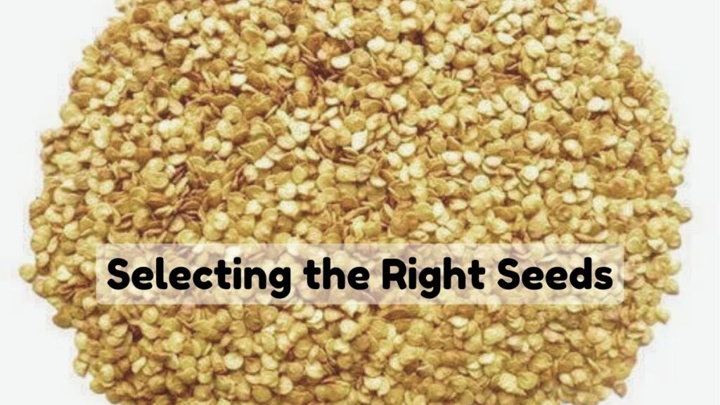 Selecting the Right Seeds