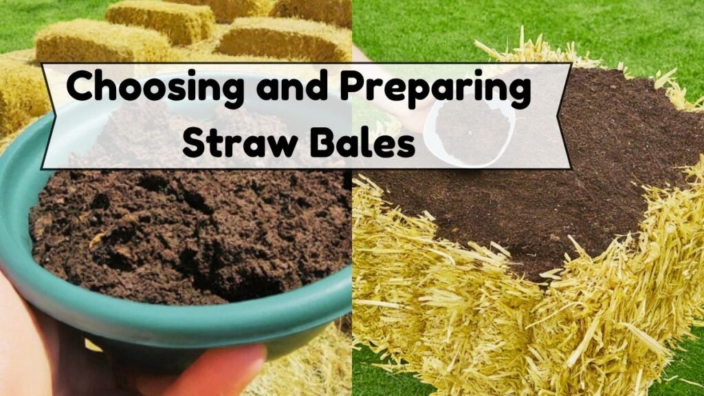 Choosing and Preparing Straw Bales 1