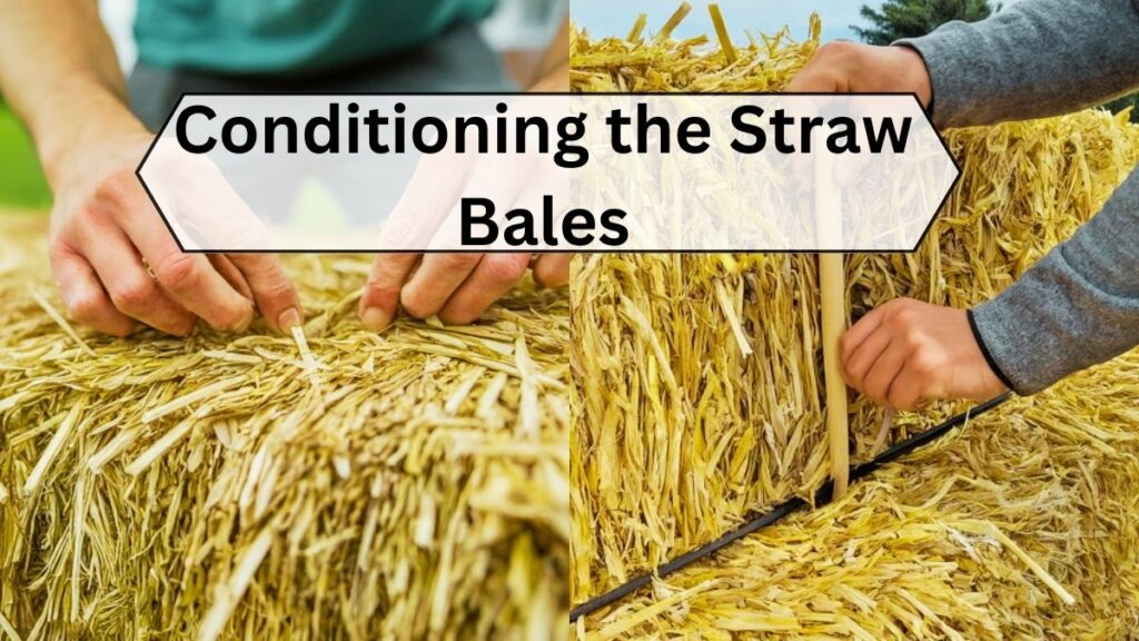 Conditioning the Straw Bales 1