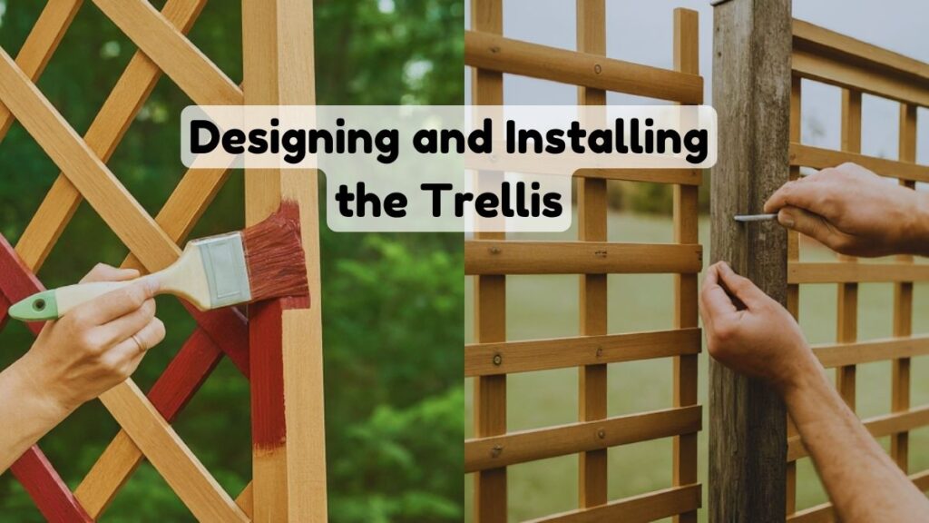 Designing and Installing the Trellis