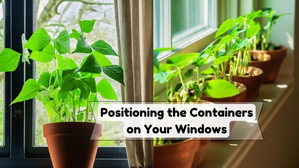 Positioning the Containers on Your Windows