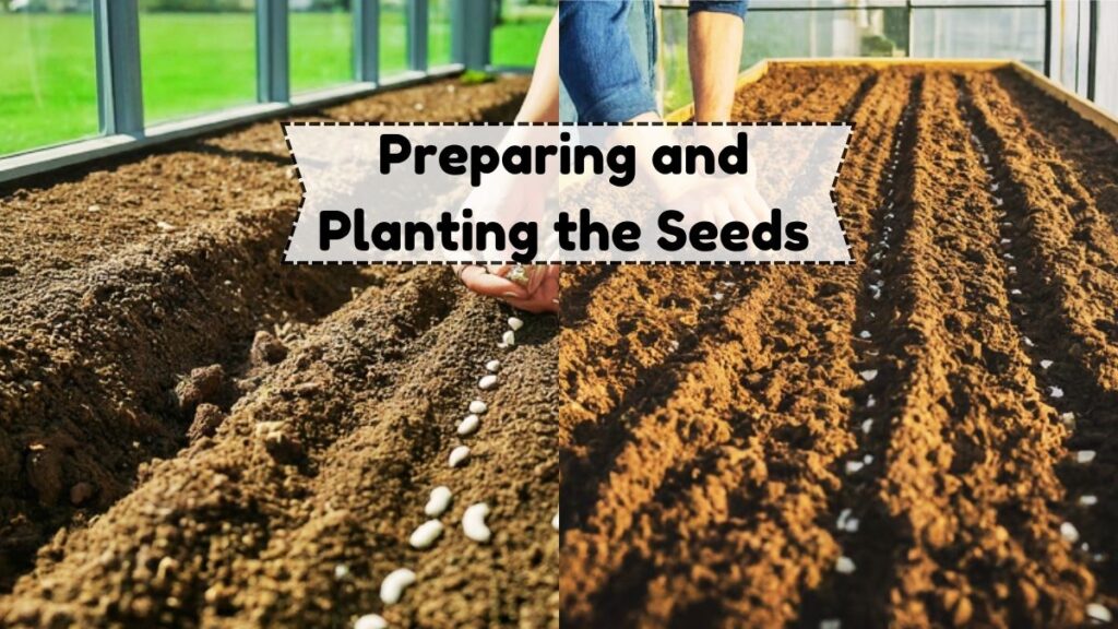 Preparing and Planting the Seeds