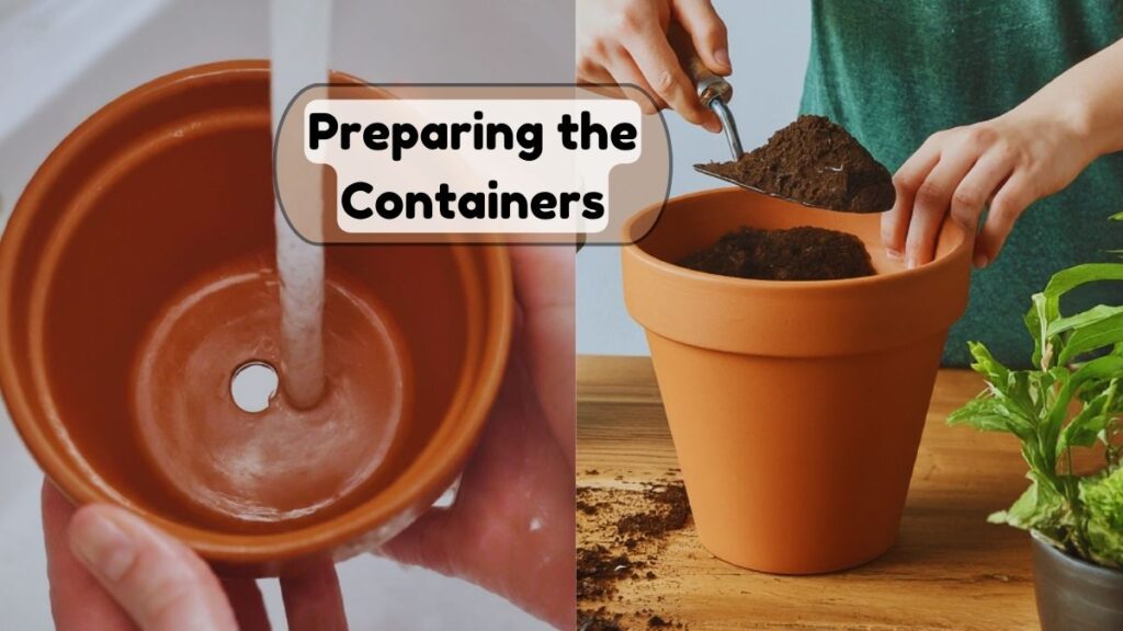 Preparing the Containers 3