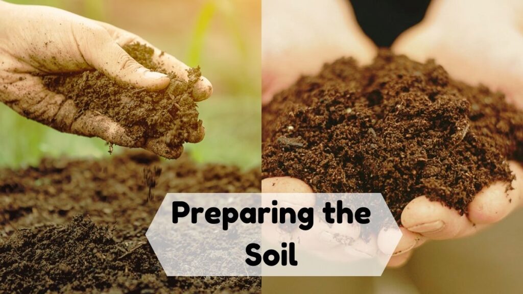 Preparing the Soil