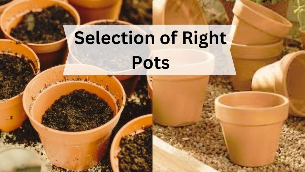 Selection of Right Pots