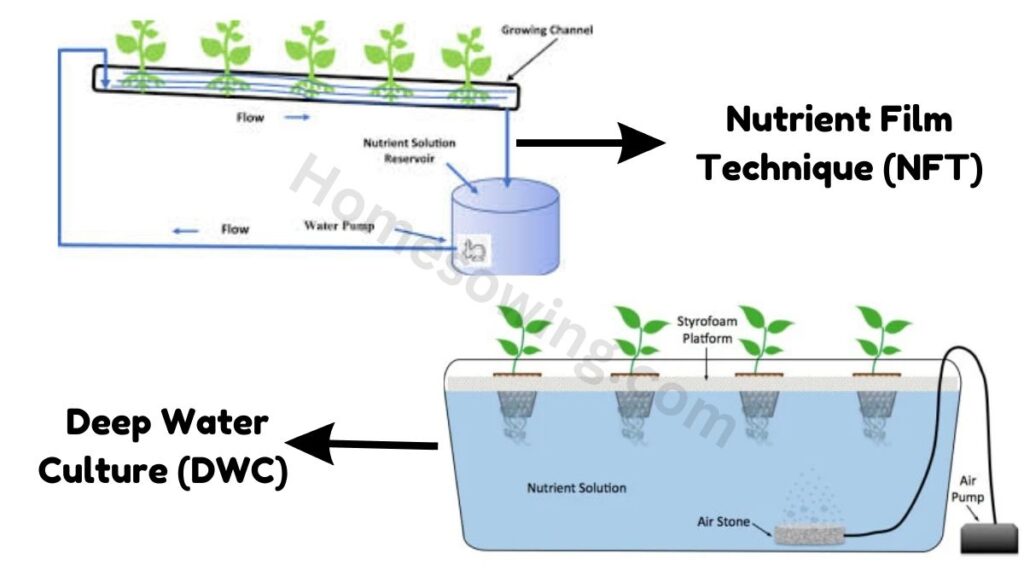 Setting Up the Hydroponic System