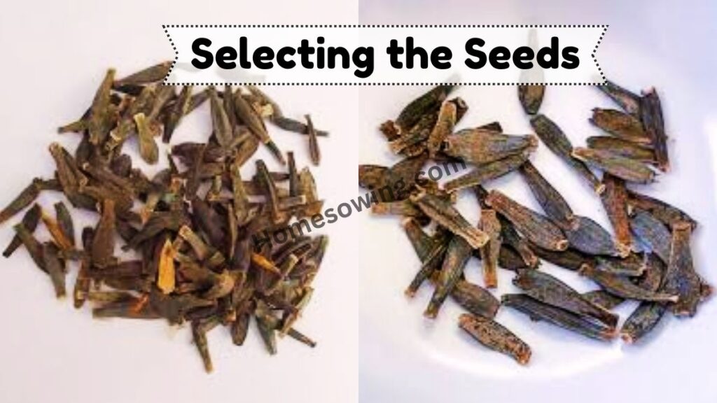 Selecting the Seeds